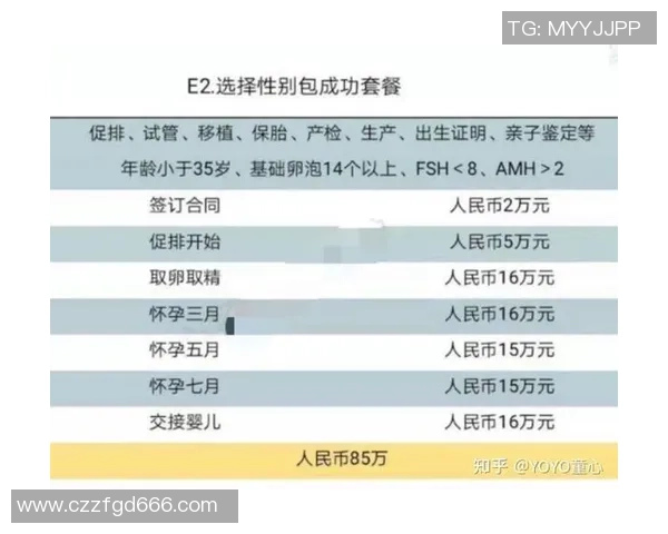 代怀博：探索现代代孕服务的法律与伦理挑战与未来发展趋势
