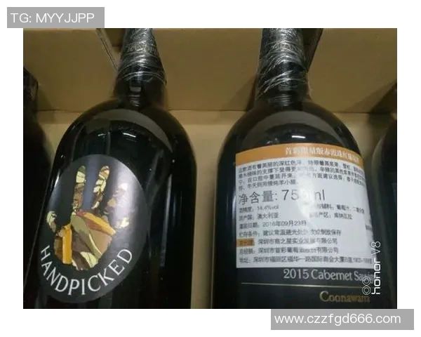 尼斯对尼姆精彩直播全程回放及赛后分析尽在这里