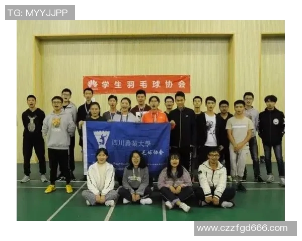 成都滑板队的转型之路与滑板文化的崛起探讨MBA 成都滑板队的转型之路与滑板文化的崛起探讨MBA