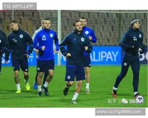 波黑与意大利足球对决比分解析及赛况分析