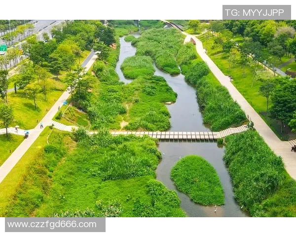 河床与大学生直播的碰撞探索新媒体时代的互动与创新 河床与大学生直播的碰撞探索新媒体时代的互动与创新