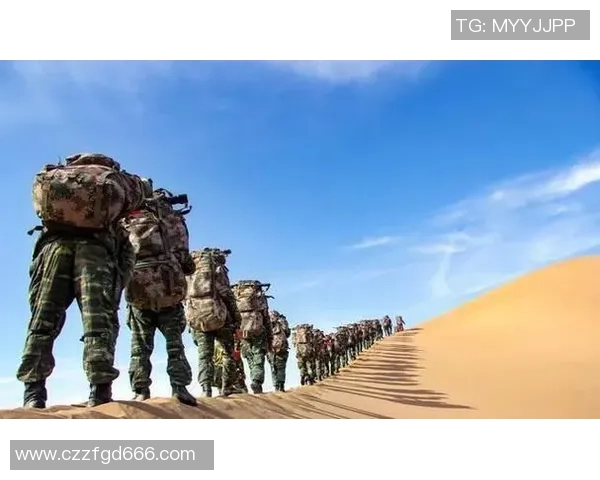 TES转型之路揭秘：从挑战者到洲际赛强者的蜕变历程