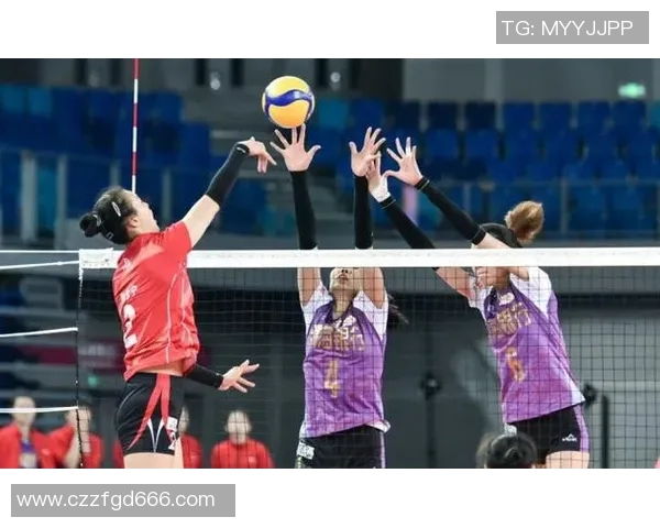 成都排球队运营模式解析与发展策略探讨